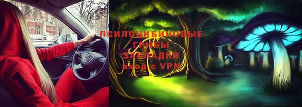 прущий лед Вязьма