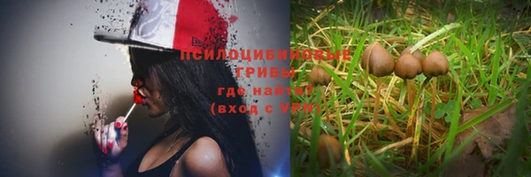спиды Вяземский