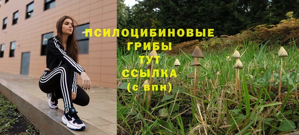 прущий лед Вязьма