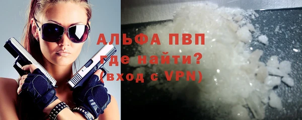 спиды Вяземский
