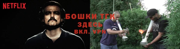прущий лед Вязьма