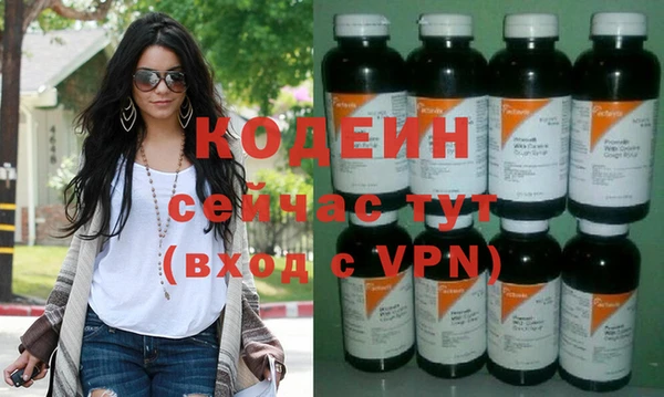 спиды Вяземский