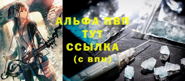 спиды Вяземский
