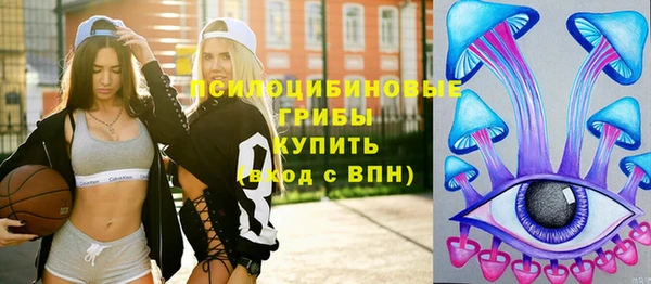 прущий лед Вязьма