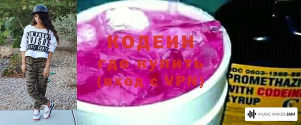 спиды Вяземский