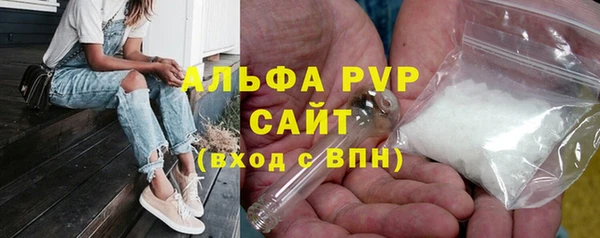 спиды Вяземский
