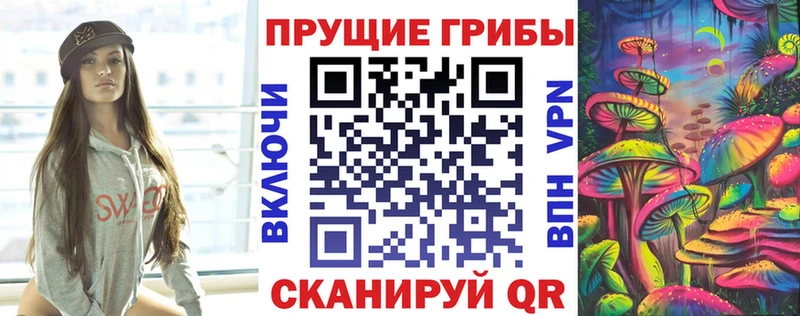 Псилоцибиновые грибы Psilocybine cubensis гидра ссылки Южа купить закладку